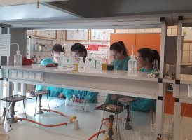 Uczniowie z LO w Węgrowie podczas warsztatów w Zakładzie Chemii Nieorganicznej i Analitycznej