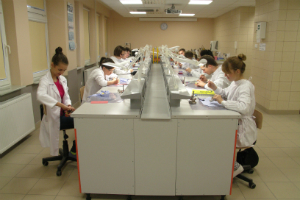 Studenci kierunku Techniki Dentystyczne podczas zajęć praktycznych.