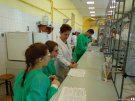 Uczniowie I LO - zajęcia w Zakładzie Chemii Organicznej 
