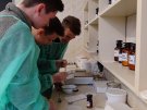 Uczniowie III LO podczas warsztatów w Zakładzie Farmacji Stosowanej