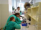 Uczniowie z Technikum Chemicznego w Ełku podczas zajęć w Zakładzie Farmakognozji