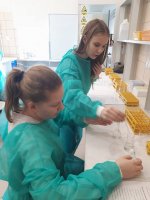 Uczniowie * Gimnazjum w Białymstoku podczas warsztatów w Zakładzie Biochemii Farmaceutycznej 