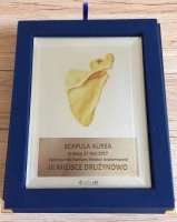 III miejsce studentów kierunku lekarskiego w Ogólnopolskim Konkursie Wiedzy Anatomicznej SCAPULA AUREA