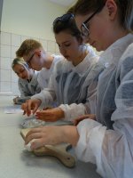 Warsztaty z udziałem uczniów z ILO w Ostrołęce w Zakładzie Bromatologii 
