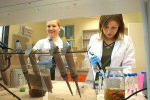 Naukowcy z UMB i PB o pionierskich badaniach na temat możliwości wykorzystania w medycynie korzeniowca sosnowego
