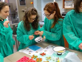 Warsztaty w Zakładzie Farmacji Stosowanej 