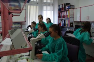 Zajęcia w Zakładzie Diagnostyki Hematologicznej