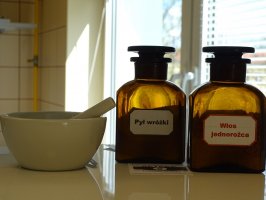 Magiczne składniki leczniczych proszków