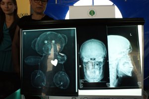 XVI Podlaski Festiwal Nauki i Sztuki - zapraszamy XVI Podlaski Festiwal Nauki i Sztuki - zapraszamy