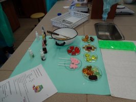 XVI Podlaski Festiwal Nauki i Sztuki - Dni otwarte na Wydziale Farmaceutycznym