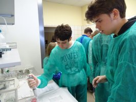 XVI Podlaski Festiwal Nauki i Sztuki - Dni otwarte na Wydziale Farmaceutycznym