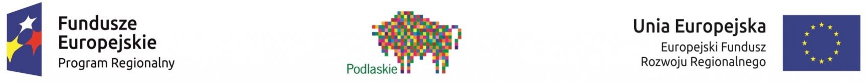 SPACER W PRZESZŁOŚĆ - inauguracja zwiedzania SPACER W PRZESZŁOŚĆ - inauguracja zwiedzania