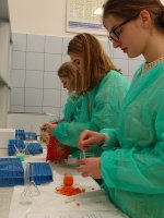 Uczniowie z I LO w Białymstoku - warsztaty w Zakładzie Biochemii Farmaceutycznej