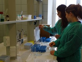 Uczniowie z I LO w Białymstoku - warsztaty w Zakładzie Biochemii Farmaceutycznej