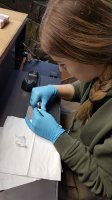 Szkolenie studentów technik dentystycznych i kierunku lekarsko-dentystycznego we Włoszech