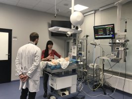 Uczyć lepiej, nie więcej 