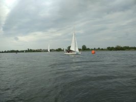 Regaty UMB Regaty UMB