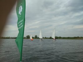 Regaty UMB Regaty UMB