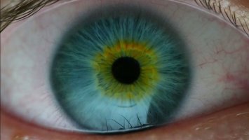 ŻUBROFFKA w Muzeum Historii Medycyny i Farmacji UMB