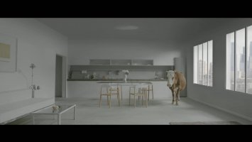 ŻUBROFFKA w Muzeum Historii Medycyny i Farmacji UMB