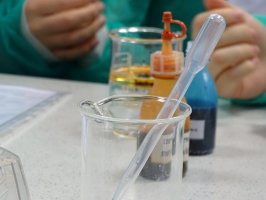 Szkoła Podstawowa nr 50 w Zakładzie chemii nieorganicznej i analitycznej 