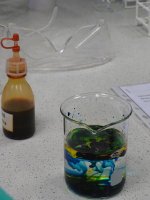 Szkoła Podstawowa nr 50 w Zakładzie chemii nieorganicznej i analitycznej 