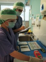 Process of tissue sampling directly on the Operation Room