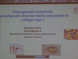 Wykłady ekspertów zagranicznych.