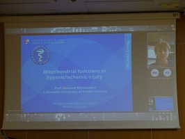 Wykłady ekspertów zagranicznych.