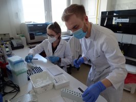 Warsztaty uczestników szkoły letniej. 