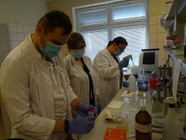 Warsztaty uczestników szkoły letniej. 