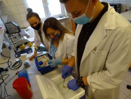 Warsztaty uczestników szkoły letniej. 