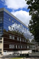 Odbijający się na elewacji ECF drzewostan