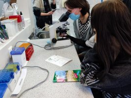 Immunologia po akademicku - konsultacje dla licealistów za nami Immunologia po akademicku - konsultacje dla licealistów za nami