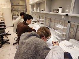 Konsultacje Obliczenia chemiczne z Projektu Biologia i chemia po akademicku 2 Konsultacje Obliczenia chemiczne z Projektu Biologia i chemia po akademicku 2