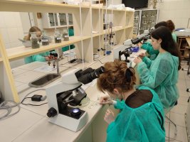 Zajęcia Pachnące laboratorium odbyły się w Zakładzie Farmakognozji Zajęcia Pachnące laboratorium odbyły się w Zakładzie Farmakognozji