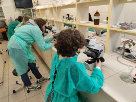 Zajęcia Pachnące laboratorium odbyły się w Zakładzie Farmakognozji Zajęcia Pachnące laboratorium odbyły się w Zakładzie Farmakognozji