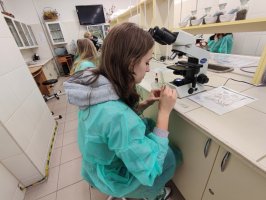 Zajęcia Pachnące laboratorium odbyły się w Zakładzie Farmakognozji Zajęcia Pachnące laboratorium odbyły się w Zakładzie Farmakognozji