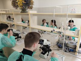 Zajęcia Pachnące laboratorium odbyły się w Zakładzie Farmakognozji Zajęcia Pachnące laboratorium odbyły się w Zakładzie Farmakognozji