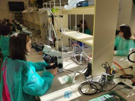 Zajęcia Pachnące laboratorium odbyły się w Zakładzie Farmakognozji Zajęcia Pachnące laboratorium odbyły się w Zakładzie Farmakognozji