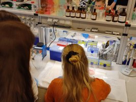 Zajęcia z Projektu Biologia i chemia po akademicku 2 odbyły się 17 kwietnia w Zakładzie Chemii Leków
