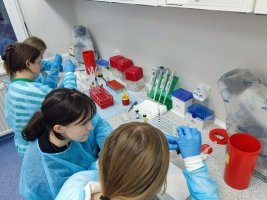 „Oznaczanie grup krwi w układzie ABO i Rh” było tematem warsztatów zrealizowanych w ramach projektu „Biologia i Chemia po akademicku 2” „Oznaczanie grup krwi w układzie ABO i Rh” było tematem warsztatów zrealizowanych w ramach projektu „Biologia i Chemia po akademicku 2”