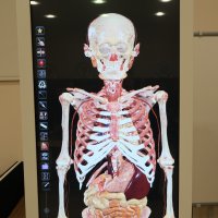 Interaktywny stół anatomiczny i unity stomatologiczne dotarły do UMB