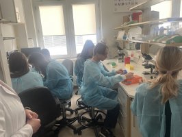 5 i 6 marca odbyły się zajęcia z Cytometrii przepływowej limfocytów w ramach Biologia i Chemia po akademicku 3