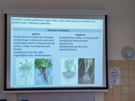 Botanika i fizjologia roślin - to kolejne konsultacje z projektu Biologia i chemia po akademicku 3