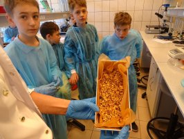 Dzień Otwarty UMB już za nami!