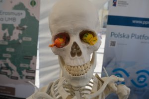 Dzień Otwarty UMB już za nami!