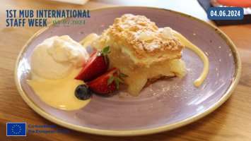 1st MUB International Staff Week już za nami!