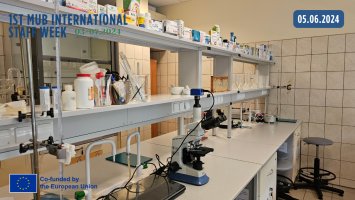 1st MUB International Staff Week już za nami!