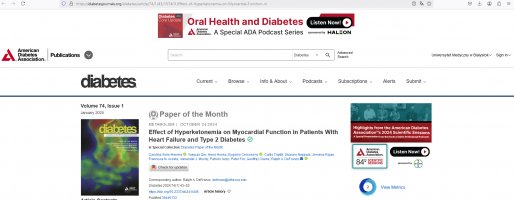 diabetes journal screen